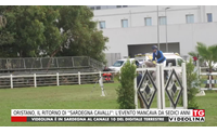 oristano il ritorno di sardegna cavalli l evento mancava da sedici anni