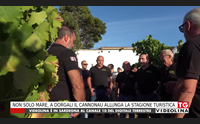 non solo mare a dorgali il cannonau allunga la stagione turistica