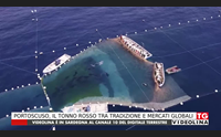 portoscuso il tonno rosso tra tradizione e mercati globali