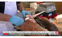 trexenta e sarcidano protagonisti con saboris antigus al via il 25 ottobre