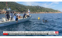 area marina protetta di tavolara apre il centro di primo soccorso per la fauna marina