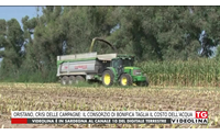 oristano crisi delle campagne il consorzio di bonifica taglia il costo dell acqua
