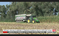oristano crisi delle campagne il consorzio di bonifica taglia il costo dell acqua