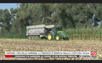 oristano crisi delle campagne il consorzio di bonifica taglia il costo dell acqua