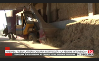 arborea filiera lattiero casearia in difficolt la regione intervenga