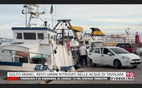 golfo aranci resti umani ritrovati nelle acque di tavolara