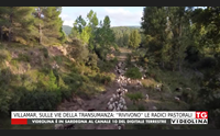 villamar sulle vie della transumanza rivivono le radici pastorali