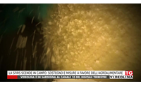 la sfirs scende in campo sostegno e misure a favore dell agroalimentare
