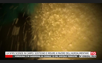 la sfirs scende in campo sostegno e misure a favore dell agroalimentare
