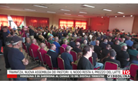 tramatza nuova assemblea dei pastori il nodo resta il prezzo del latte
