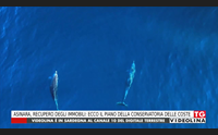 asinara recupero degli immobili ecco il piano della conservatoria delle coste