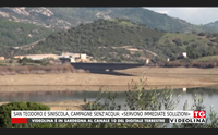 san teodoro e siniscola campagne senz acqua servono immediate soluzioni