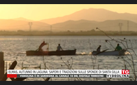 elmas autunno in laguna sapori e tradizioni sulle sponde di santa gilla