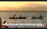 elmas autunno in laguna sapori e tradizioni sulle sponde di santa gilla