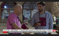 gesturi jara wine il buon vino riapre le antiche case a corte