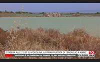 stasera alle 21 00 su videolina la prima puntata di bagaglio a mano