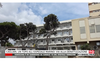 cagliari un topo all ospedale marino via alla derattizzazione