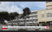 cagliari un topo all ospedale marino via alla derattizzazione