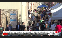 sant andrea frius celebra il mandorlo tradizione biodiversit e gusto