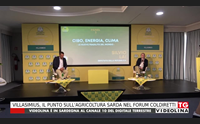 villasimius il punto sull agricoltura sarda nel forum coldiretti