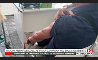 vaccini antinfluenzali al via la campagna nel sulcis iglesiente