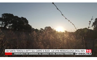 da santa teresa a bitti sul carro a buoi la vita meravigliosa degli avi
