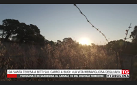 da santa teresa a bitti sul carro a buoi la vita meravigliosa degli avi
