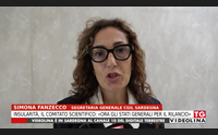 insularit il comitato scientifico ora gli stati generali per il rilancio