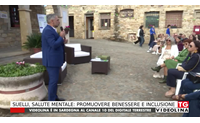 suelli salute mentale promuovere benessere e inclusione