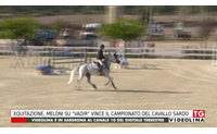 equitazione meloni su vadir vince il campionato del cavallo sardo