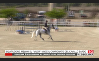 equitazione meloni su vadir vince il campionato del cavallo sardo