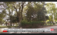 oristano oltre l arredo urbano il verde diventa una difesa contro il clima
