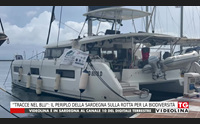 tracce nel blu il periplo della sardegna sulla rotta per la biodiversit