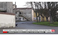 carceri sarde allarme personale il sappe chiede interventi sulle colonie penali