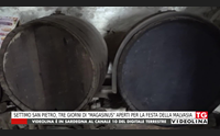 settimo san pietro tre giorni di magasinus aperti per la festa della malvasia