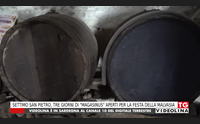 settimo san pietro tre giorni di magasinus aperti per la festa della malvasia