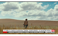 ottobre di cinema in sardegna domani alberi erranti di salvatore mereu