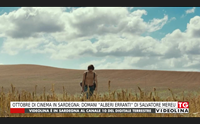 ottobre di cinema in sardegna domani alberi erranti di salvatore mereu