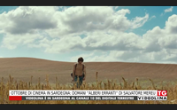 ottobre di cinema in sardegna domani alberi erranti di salvatore mereu