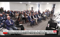 caro gasolio 25 milioni per le aziende agricole via libera dalla regione