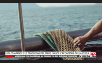 golfo aranci e le tradizioni del mare nasce l accademia della pesca