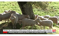 orosei dal congresso copagri agus promette aiuti contro il caro gasolio
