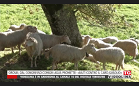 orosei dal congresso copagri agus promette aiuti contro il caro gasolio